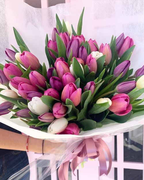 Bouquet 50 Tulipanes