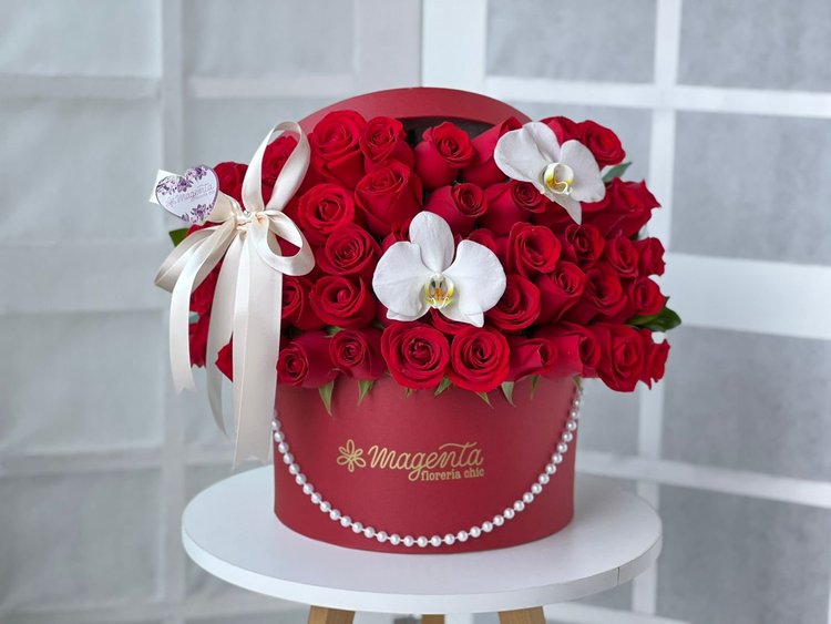 Pastel Rojo 50