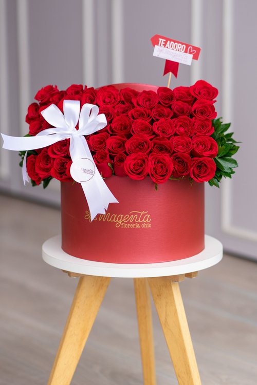 Pastel Red rose!