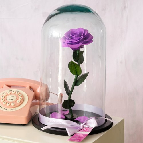 Rosa Eterna - Jumbo Morada