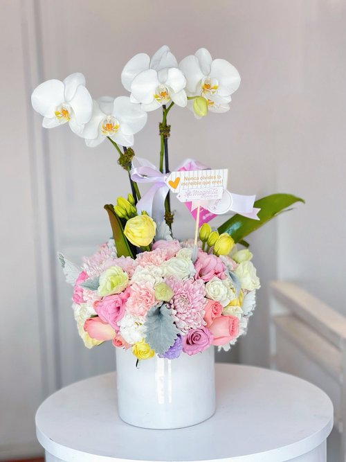 Orquídea Mix