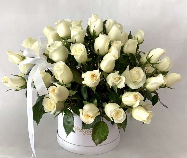Box 100 Rosas Blancas