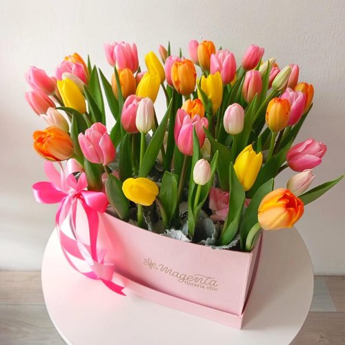 Happy Tulips Big