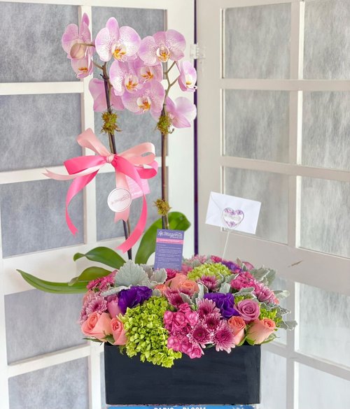 Orquidea decorada